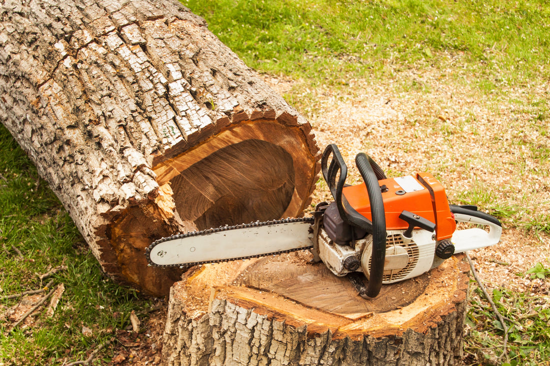 Residential Tree Service
