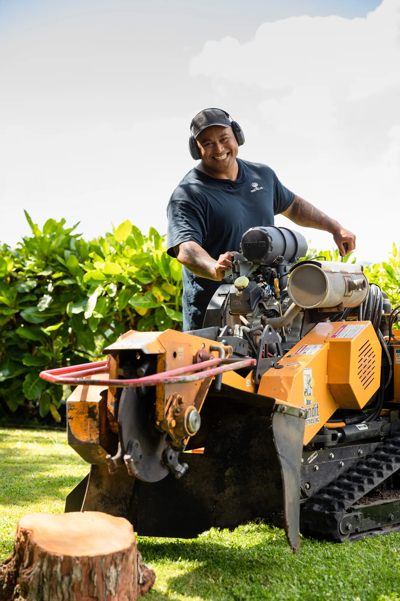 Stump Grinding Rochester NY