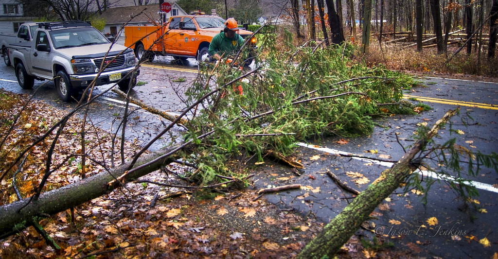 Storm cleanup tree service Rochester NY