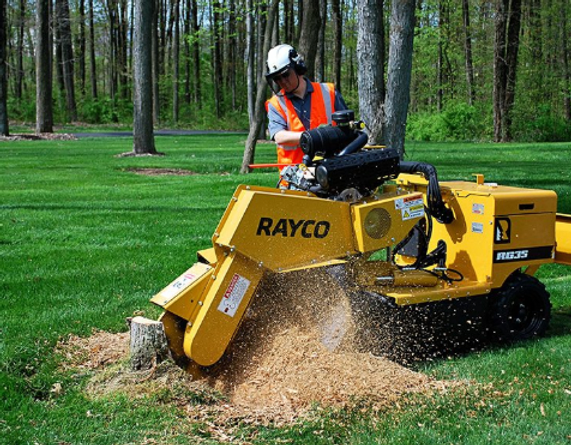 Stump grinding service Rochester NY